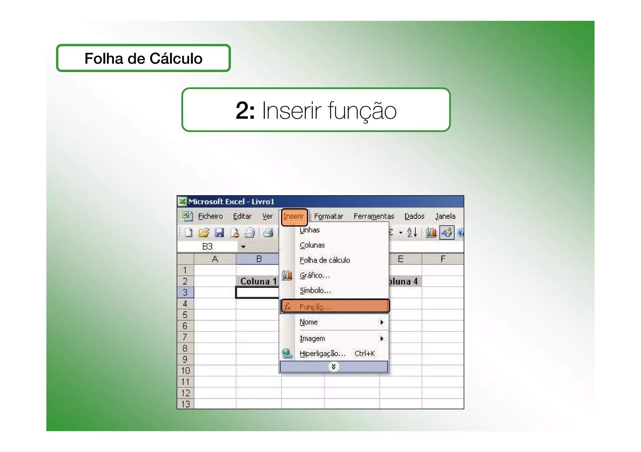 Funções e Cálculos