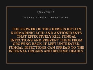 R O S E M A R Y
T R E A T S F U N G A L I N F E C T I O N S
THE FLOWER OF THIS HERB IS RICH IN
ROSMARINIC ACID AND ANTIOXIDANTS
THAT EFFECTIVELY KILL FUNGAL
INFECTIONS AND PREVENT THEM FROM
GROWING BACK. IF LEFT UNTREATED,
FUNGAL INFECTIONS CAN SPREAD TO THE
INTERNAL ORGANS AND BECOME DEADLY.
 