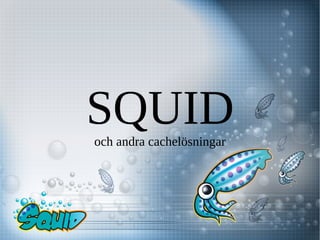 SQUID
och andra cachelösningar
 