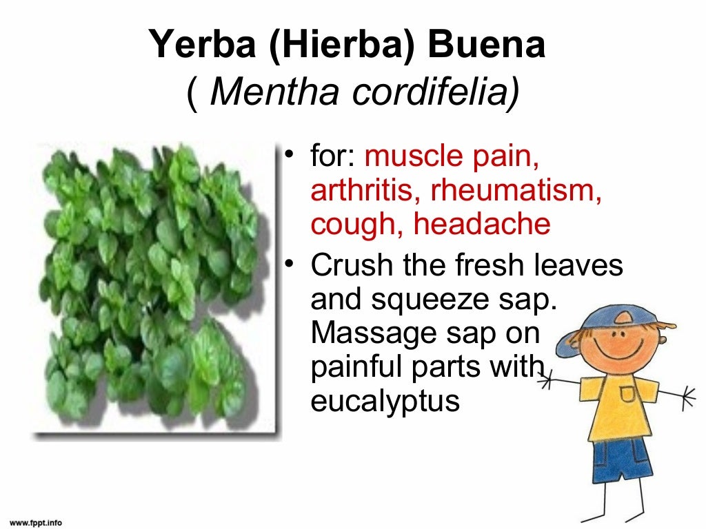 10 herbal medicines approved by the doh