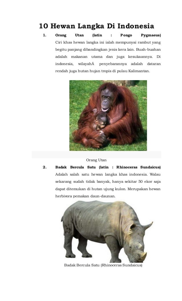 10 hewan  langka  di  indonesia 