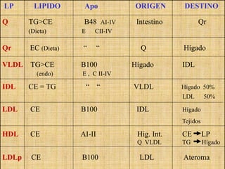 LP LIPIDO Apo ORIGEN DESTINO
Q TG>CE B48 AI-IV Intestino Qr
(Dieta) E CII-IV
Qr EC (Dieta) “ “ Q Hígado
VLDL TG>CE B100 Hígado IDL
(endo) E , C II-IV
IDL CE = TG “ “ VLDL Hígado 50%
LDL 50%
LDL CE B100 IDL Hígado
Tejidos
HDL CE AI-II Hig. Int. CE LP
Q VLDL TG Hígado
LDLp CE B100 LDL Ateroma
 