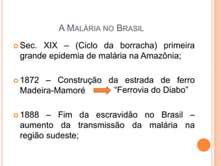 A MALÁRIA NO BRASIL
 Sec. XIX – (Ciclo da borracha) primeira
grande epidemia de malária na Amazônia;
 1872 – Construção da estrada de ferro
Madeira-Mamoré
 1888 – Fim da escravidão no Brasil –
aumento da transmissão da malária na
região sudeste;
“Ferrovia do Diabo”
 