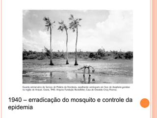 1940 – erradicação do mosquito e controle da
epidemia
 