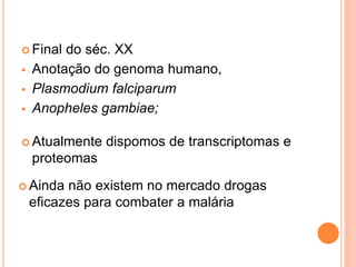  Final do séc. XX
 Anotação do genoma humano,
 Plasmodium falciparum
 Anopheles gambiae;
 Atualmente dispomos de transcriptomas e
proteomas
 Ainda não existem no mercado drogas
eficazes para combater a malária
 