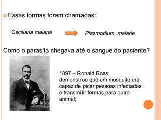  Essas formas foram chamadas:
Como o parasita chegava até o sangue do paciente?
1897 – Ronald Ross
demonstrou que um mosquito era
capaz de picar pessoas infectadas
e transmitir formas para outro
animal;
Plasmodium malarieOscillaria malarie
 