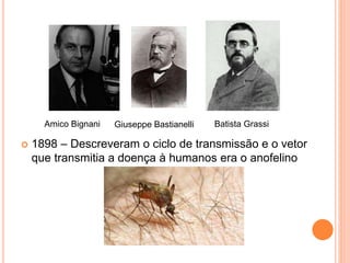  1898 – Descreveram o ciclo de transmissão e o vetor
que transmitia a doença à humanos era o anofelino
Amico Bignani Giuseppe Bastianelli Batista Grassi
 