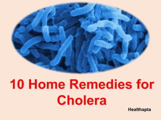 Healthapta
Healthapta
10 Home Remedies for
Cholera
 
