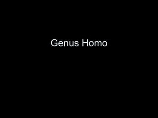 Genus Homo
 