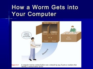 How aa WWoorrmm GGeettss iinnttoo 
YYoouurr CCoommppuutteerr 
 