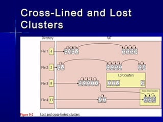 Cross-LLiinneedd aanndd LLoosstt 
CClluusstteerrss 
 