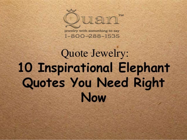 Elephant Quotes Magnificent 48 Inspirational Elephant Quotes You Need Right Now Elephant Quotes Magnificent 48 Inspirational Elephant Quotes You Need Right Now