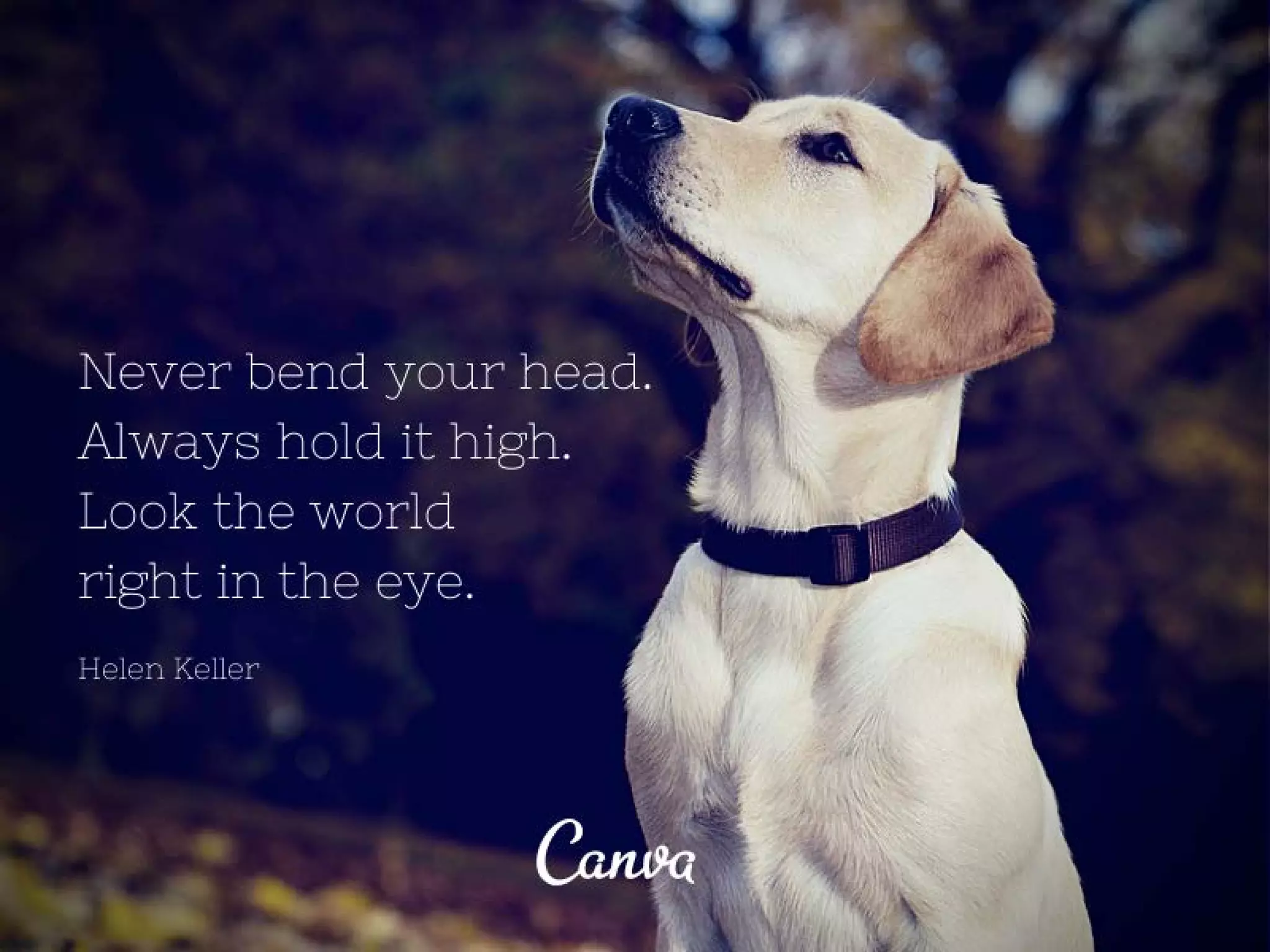 10 Inspirational Quotes for Graduation