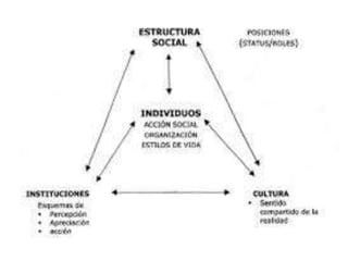 10 instituciones, estructura social