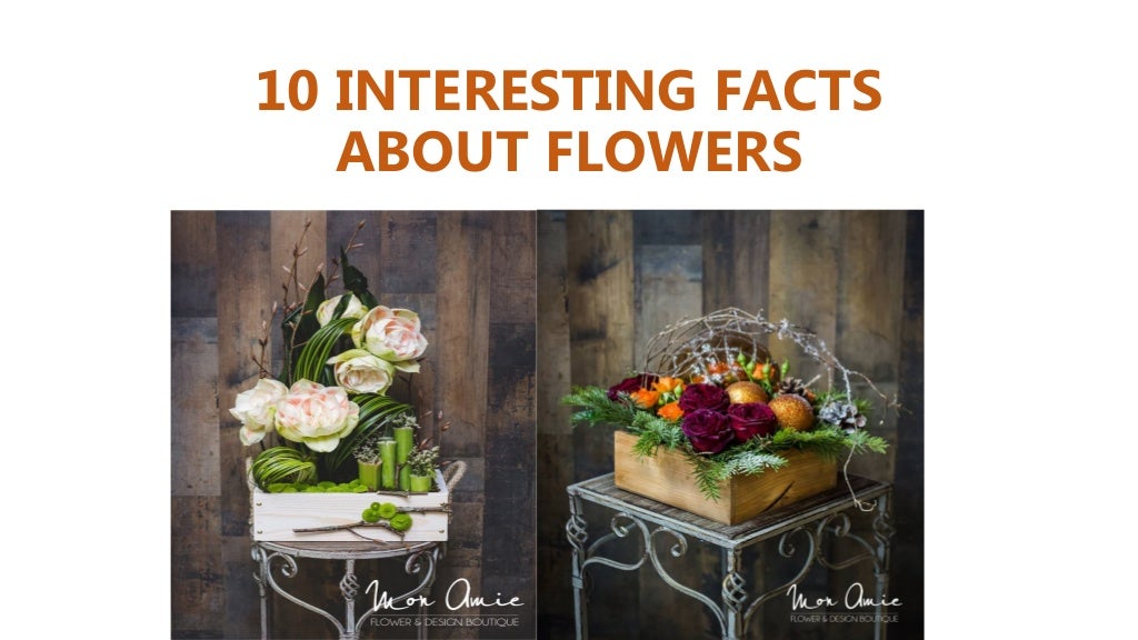 10 Interesting Facts about Flowers