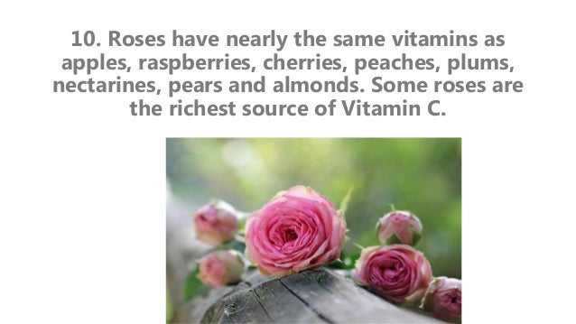 10 Interesting Facts About Flowers