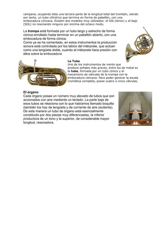 10 intrumentos de percusion,cuerda y viento | DOC