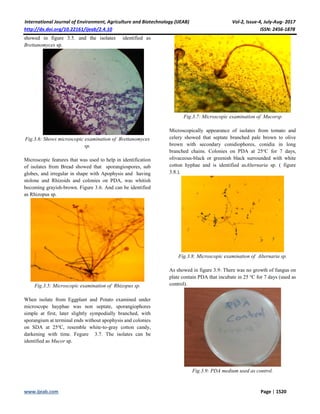 Isolation and Identification of Fungi from fast food restaurants in ...