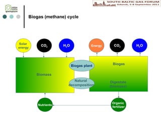 Biogas  (methane)  cycle Solar  energy CO 2 H 2 O Biomass Energy CO 2 H 2 O Nutrients Bioga s Digest ate (biomass) Organic  fertilizer Natural  decomposition Biogas plant 