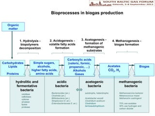 Bioprocesses in biogas production Carboxylic acids (valeric, formic, propanoic, …) Alkohols Gases Acetates CO 2 , H 2 Biogas Simple sugars,  alcohols,  higher fatty acids,  amino acids Carbohydrates Lipid s Proteins Organic  matter hydrolitic and fermentative  bacteria acidic bacteria acetogenic bacteria methanogenic  bacteria 1. Hydrolysis - biopolymers  decomposition 2. Acidogenesis -  volatile fatty  acid s   f ormation   3. Acetogenesis -  formation of  methanogen ic   substrates 4. Methanogenesis - biogas formation celullase cel l obiase xylanse  amylase  l ipase protease Bacteriocides  (an.) Clostridia  (an.) Bifidobacteria  (an.) Streptococci  (f. an.) Enterobacteriaceae  (f. an.) autotrophs, heterotrophs Acetobacter woodii Clostridium aceticum Clostridium  termoautotrophicum . Methanosarcina barkerei   Metanococcus mazei Methanotrix soehngenii 70% use acetate s 30% use hydrogen and carbon dioxide 