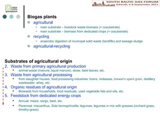 Biogas plants agricultural main substrate – livestock waste biomass (+ cosubstrate) main substrate – biomass from dedicated crops (+ cosubstrate) recycling anaerobic digestion of municipal solid waste (landfills) and sewage sludge agricultural-recycling Substrates of agricultural origin Waste from primary agricultural production animal waste (manure, liquid manure), straw, beet leaves, etc. Waste from agricultural processing from slaughter house s,  food processing industries: brans, molasses,  brewer's spent grain,  distillery wastewater, whey, etc. Organic residu e s of agricultural origin Biowaste from households, food residuals, used vegetable fats and oils, etc. Feedstock from dedicated energy crops Annual: maize, sorgo, beet, etc. Perennial: miscant hu s,  S ida hermaphrodita , legumes, legumes in mix with grasses (orchard grass, timothy-grass) 