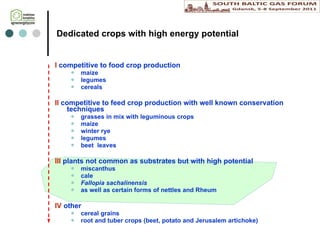 D edicated crops with high energy potential I  competitive to food crop production maize legumes cereals II  competitive to feed crop production with well known conservation techniques grasses in mix with leguminous crops maize winter rye legumes beet  leaves III  plants not common as substrates but with high potential miscanthus c ale Fallopia   sachalinensis as well as certain forms of  n ettles and Rheum IV  other cereal grains root and tuber crops (beet, potato  and  Jerusalem artichoke) 