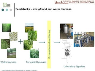 Feedstock s – mix of land and water biomass Water biomass Terrestrial  biomass Laboratory digesters Conservation and conditioning Źródło: Opracowania autorów: Krzemieniewski M., Dębowski M., Zieliński M. 