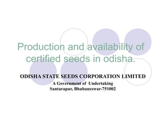 Production and availability of
  certified seeds in odisha.
ODISHA STATE SEEDS CORPORATION LIMITED
          A Government of Undertaking
         Santarapur, Bhubaneswar-751002
 