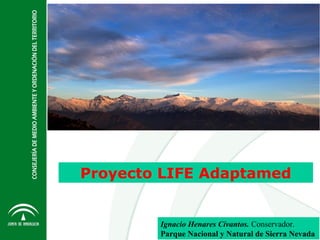 Proyecto LIFE Adaptamed
Ignacio Henares Civantos. Conservador.
Parque Nacional y Natural de Sierra Nevada
 