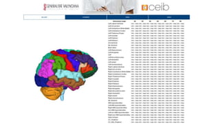 The 10K Big Data in Brain Imaging of Valencia Region
