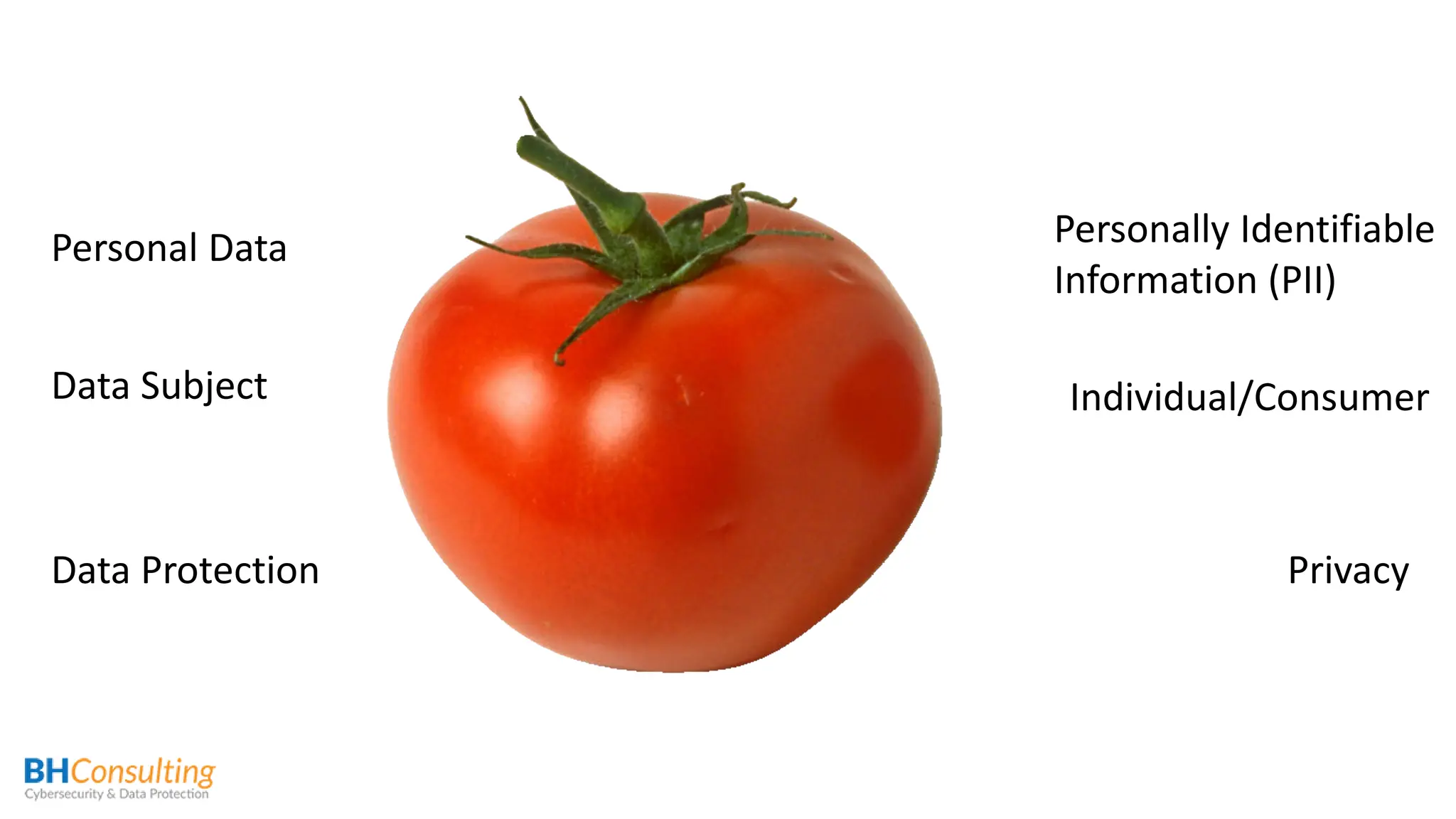 Personal Data
Data Subject
Data Protection
Personally Identifiable
Information (PII)
Individual/Consumer
Privacy
 