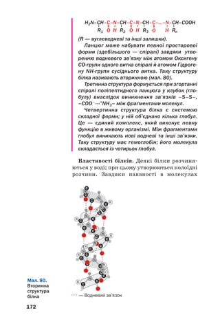 168
У молекулі дипептиду (мал. 78), як і в
молекулі амінокислоти, також є аміно/ і
карбоксильна групи. Кожна із цих груп
може реагувати з протилежною за властиво/
стями групою ще однієї молекули аміно/
кислоти з утворенням трипептиду. З ба/
гатьох молекул амінокислот утворюються
поліпептиди.
Мал. 77.
Розчин
продукту
взаємодії
гліцину з
купрум(ІІ)
гідроксидом
Мал. 78.
Модель
молекули
дипептиду
(виділено
групу атомів
–СО–NН–)
Молекули поліпептидів містять групи ато/
мів (мал. 78), які називають пептидними гру(
пами:
Застосування амінокислот. Амінокислоти
використовують у медицині (мал. 79) при за/
хворюваннях крові, внутрішніх органів, нер/
вової системи, порушеннях обміну речовин.
Вони знешкоджують токсичні речовини в
організмі. Деякі амінокислоти слугують хар/
човими добавками у тваринництві.
 