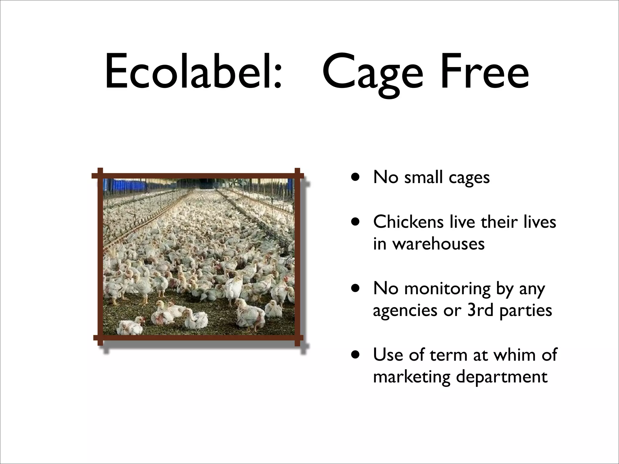 The Consumer and the Egg