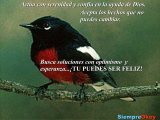 Taller De Motivacion