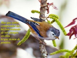 Taller De Motivacion