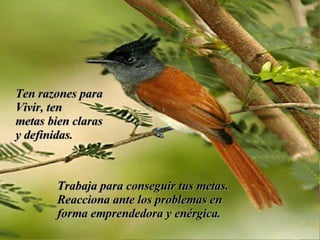 Taller De Motivacion