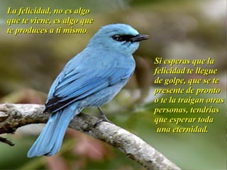 Taller De Motivacion