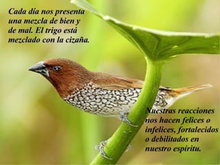 Taller De Motivacion