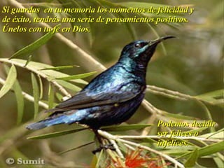 Taller De Motivacion