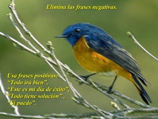 Taller De Motivacion