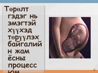 Төрөлт
гэдэг нь
эмэгтэй
хүүхэд
төрүүлэх
байгалий
н жам
ёсны
процесс

 