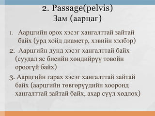 2. Passage(pelvis)
Зам (аарцаг)
Аарцгийн орох хэсэг хангалттай зайтай
байх (урд хойд диаметр, хэвийн хэлбэр)
2. Аарцгийн дунд хэсэг хангалттай байх
(суудал яс биеийн хөндийрүү товойн
ороогүй байх)
3. Аарцгийн гарах хэсэг хангалттай зайтай
байх (аарцгийн төвгөрүүдийн хооронд
хангалттай зайтай байх, ахар сүүл хөдлөх)
1.

 