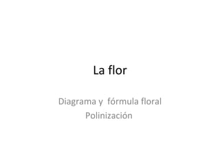 La flor
Diagrama y fórmula floral
Polinización
 