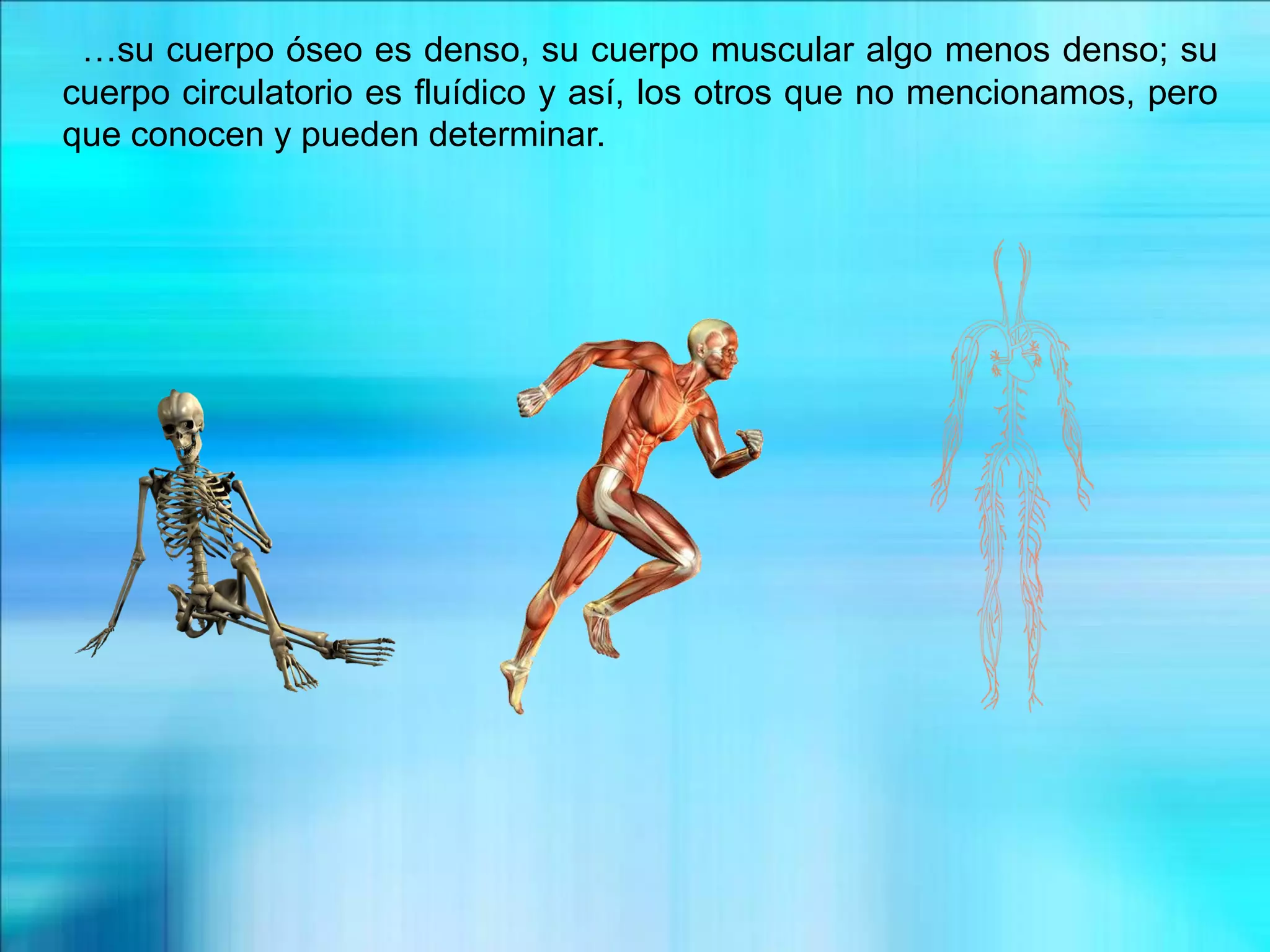 …su cuerpo óseo es denso, su cuerpo muscular algo menos denso; su
cuerpo circulatorio es fluídico y así, los otros que no mencionamos, pero
que conocen y pueden determinar.
 
