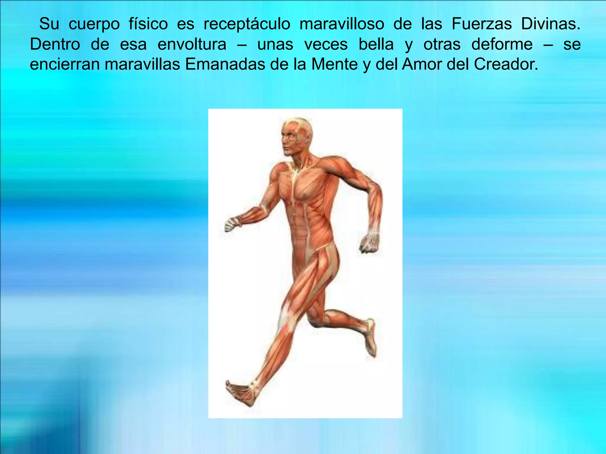 Su cuerpo físico es receptáculo maravilloso de las Fuerzas Divinas.
Dentro de esa envoltura – unas veces bella y otras deforme – se
encierran maravillas Emanadas de la Mente y del Amor del Creador.
 