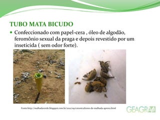 TUBO MATA BICUDO 
 Confeccionado com papel-cera , óleo de algodão, 
feromônio sexual da praga e depois revestido por um 
inseticida ( sem odor forte). 
Fonte:http://malhadaverde.blogspot.com.br/2012/09/cotonicultores-de-malhada-aprova.html 
 