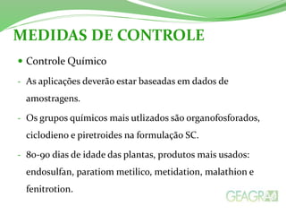 MEDIDAS DE CONTROLE 
 Controle Químico 
- As aplicações deverão estar baseadas em dados de 
amostragens. 
- Os grupos químicos mais utlizados são organofosforados, 
ciclodieno e piretroides na formulação SC. 
- 80-90 dias de idade das plantas, produtos mais usados: 
endosulfan, paratiom metilico, metidation, malathion e 
fenitrotion. 
 
