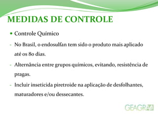 MEDIDAS DE CONTROLE 
 Controle Químico 
- No Brasil, o endosulfan tem sido o produto mais aplicado 
até os 80 dias. 
- Alternância entre grupos químicos, evitando, resistência de 
pragas. 
- Incluir inseticida piretroide na aplicação de desfolhantes, 
maturadores e/ou dessecantes. 
 