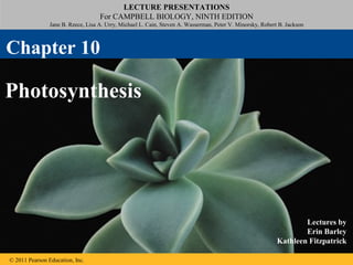 LECTURE PRESENTATIONS
For CAMPBELL BIOLOGY, NINTH EDITION
Jane B. Reece, Lisa A. Urry, Michael L. Cain, Steven A. Wasserman, Peter V. Minorsky, Robert B. Jackson
© 2011 Pearson Education, Inc.
Lectures by
Erin Barley
Kathleen Fitzpatrick
Photosynthesis
Chapter 10
 