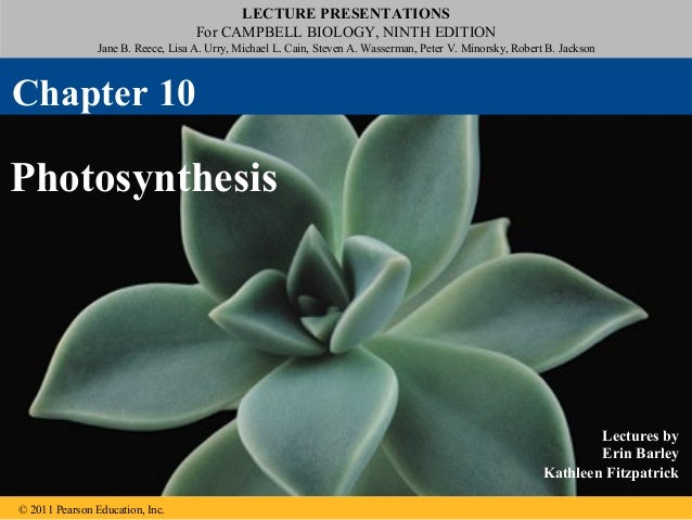 Ch 10 Photosynthesis
